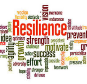 Gaining Confidence & Mastering Resilience Course