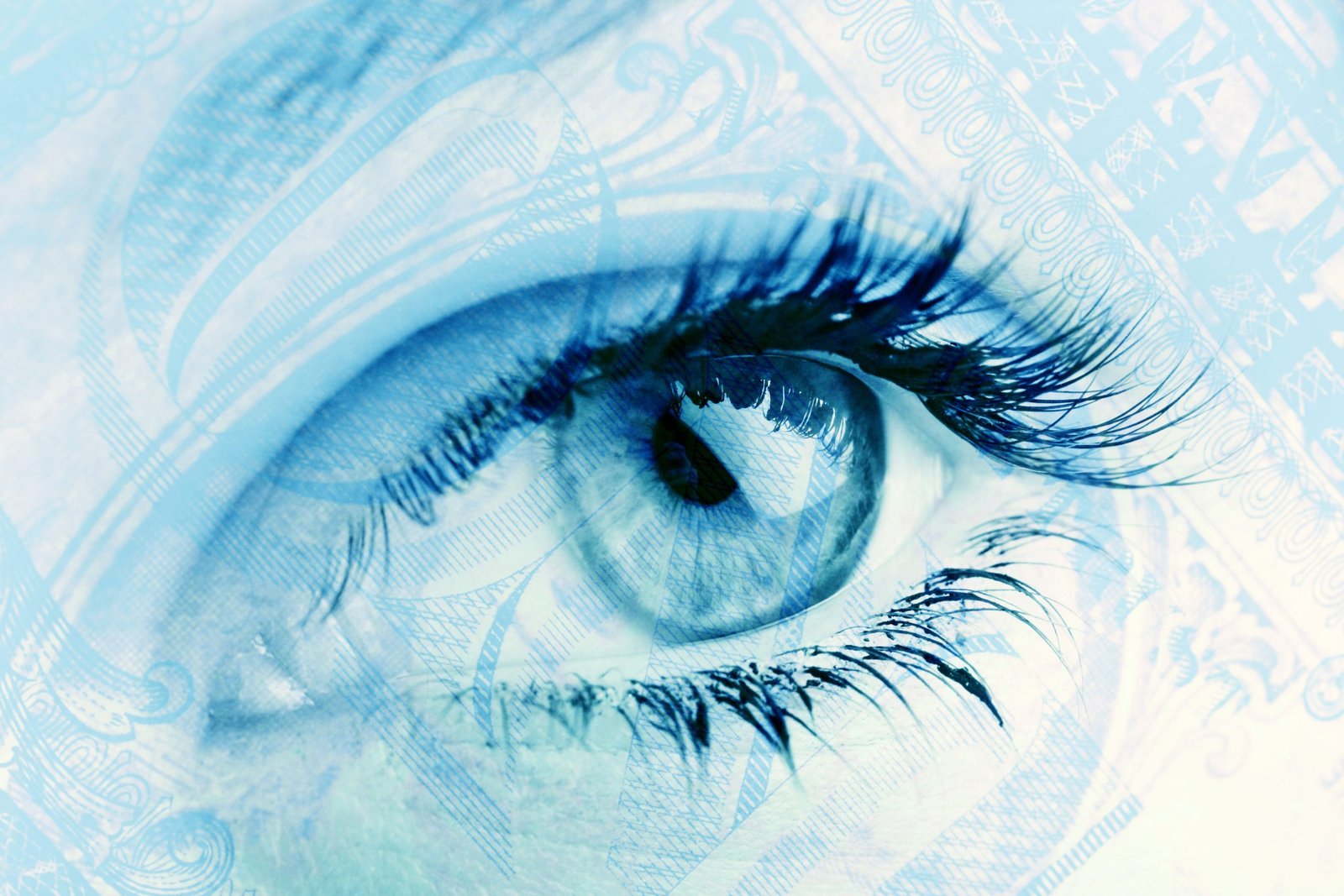 Financial vision - dreamstime_xxl_6474201