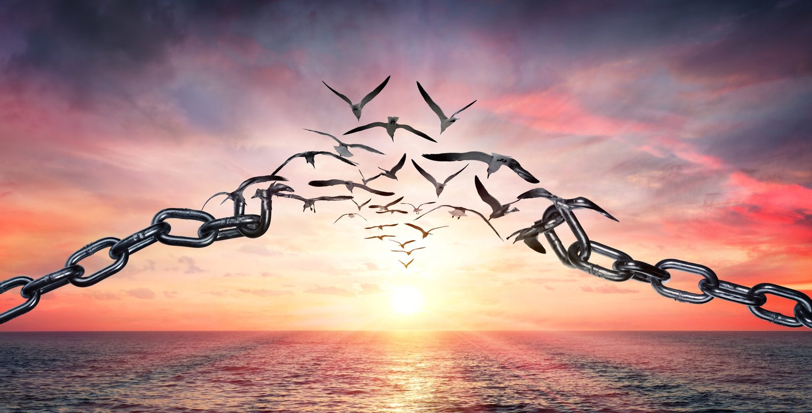 On the wings of freedom - Birds flying and broken chains - dreamstime_xl_146675254